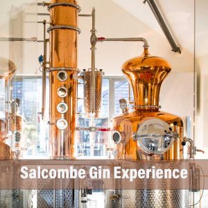 Salcombe Gin Experience for 2