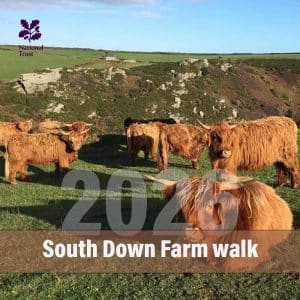 South Down Farm guided walk